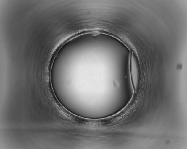 X0000099510789200805291148