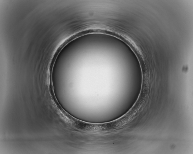 X0000099510791200805291148