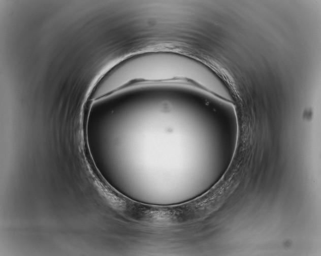 X0000099510792200805291148