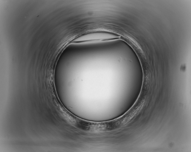 X0000099510793200805291148