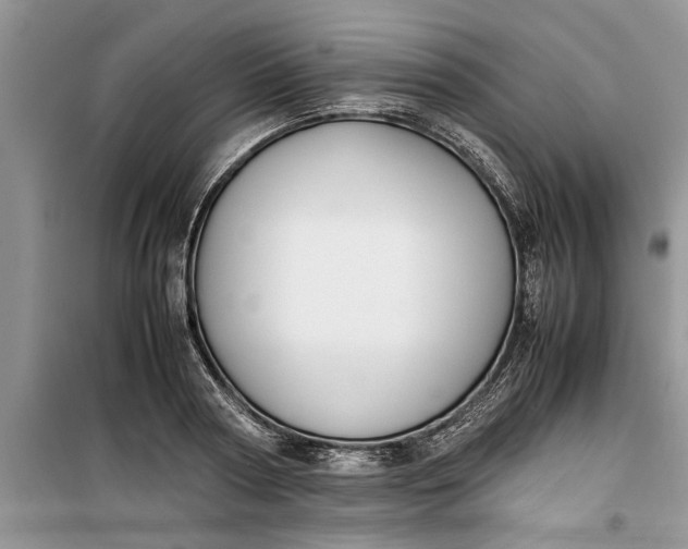 X0000099510794200805291148