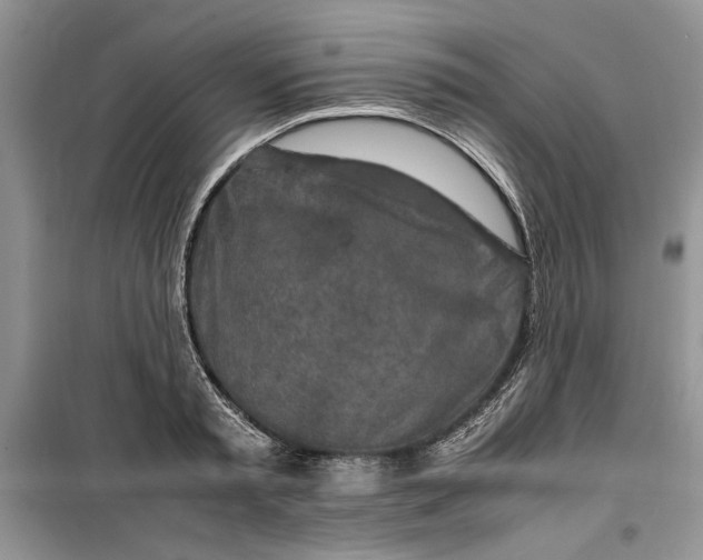 X0000099510797200805291148