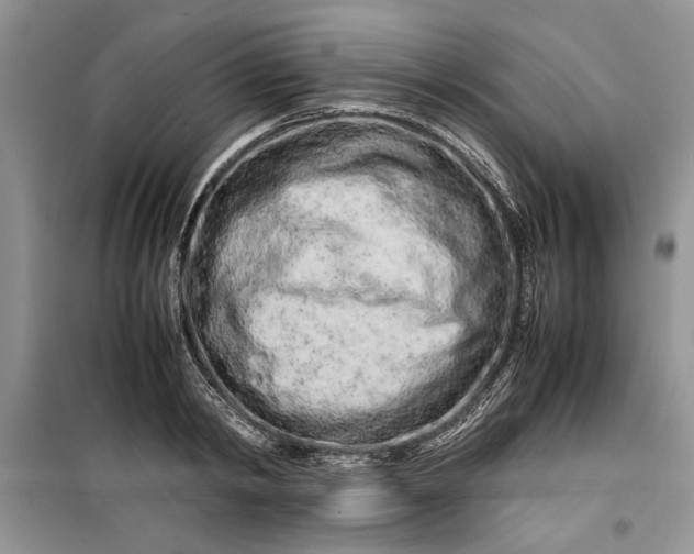 X0000099510798200805291148