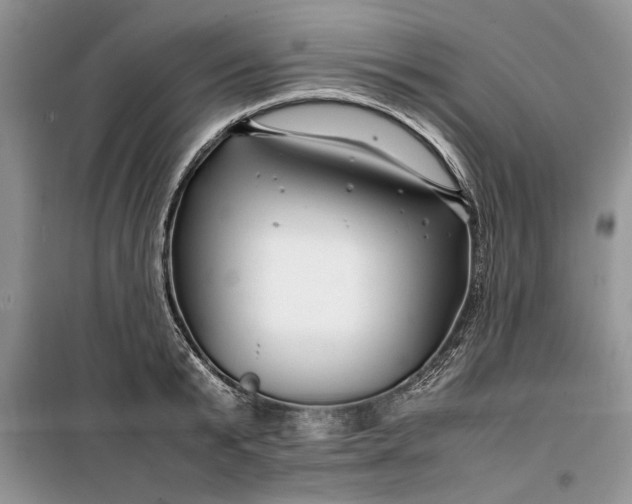 X0000099510799200805291148