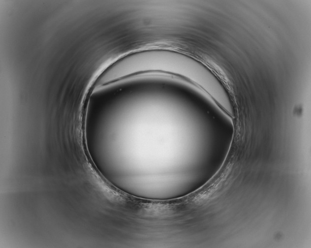 X0000099510800200805291148