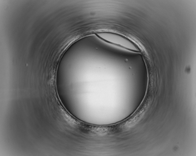 X0000099510801200805291148