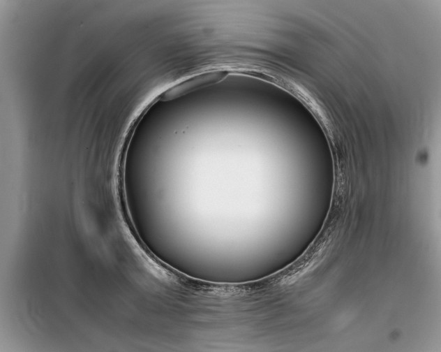 X0000099510803200805291148