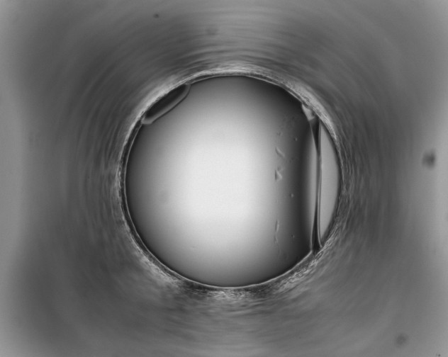 X0000099510805200805291148