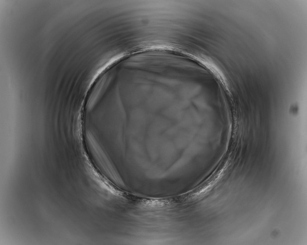 X0000099510806200805291148