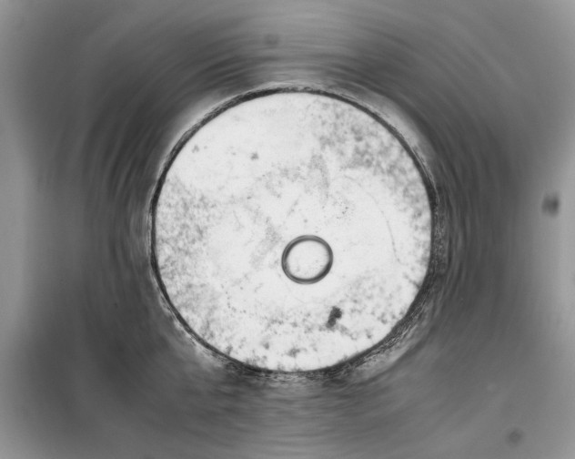 X0000099510807200805291148