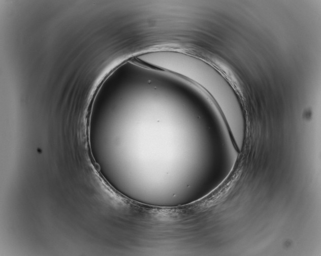 X0000099510808200805291148