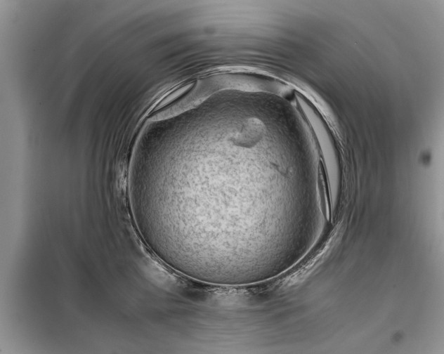 X0000099510809200805291148