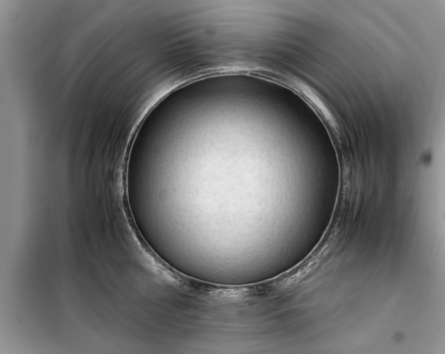 X0000099510810200805291148