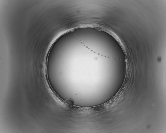 X0000099510811200805291148