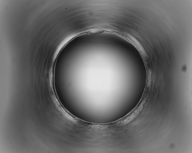 X0000099510812200805291148