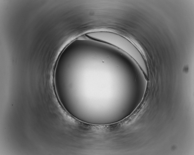 X0000099510813200805291148