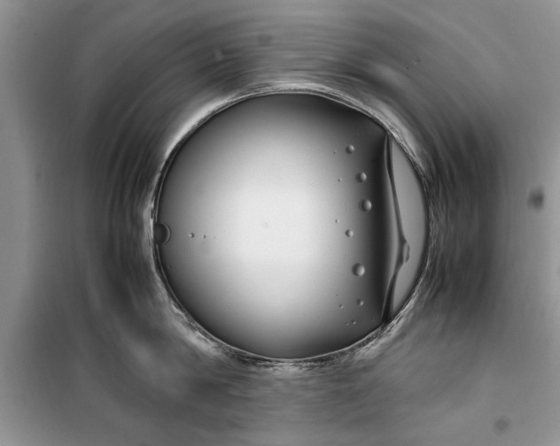 X0000099510814200805291148