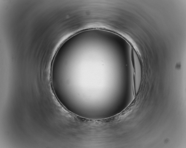 X0000099510815200805291148