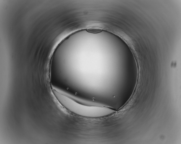 X0000099510816200805291148