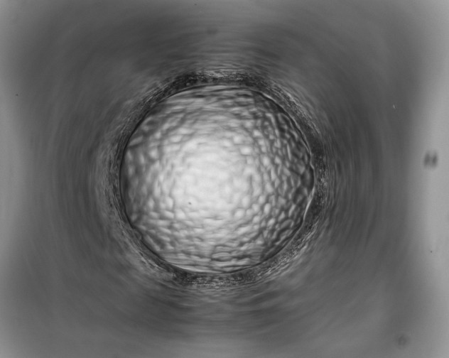 X0000099510817200805291147