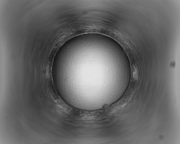 X0000099510819200805291147