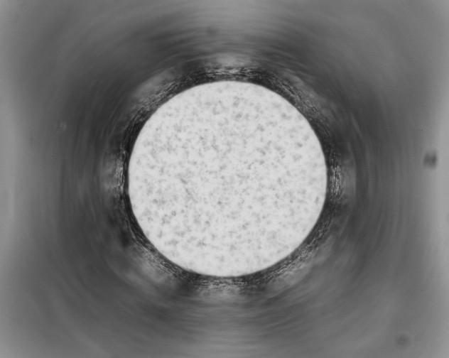 X0000099510820200805291147