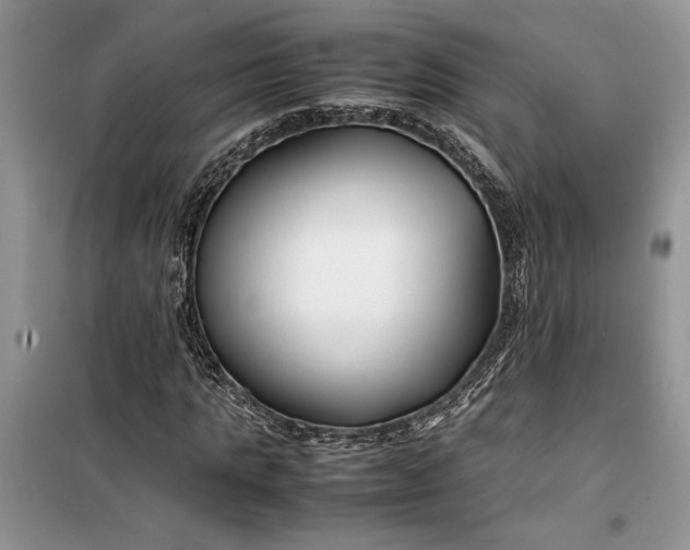 X0000099510821200805291147