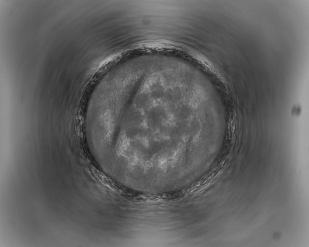 X0000099510822200805291147