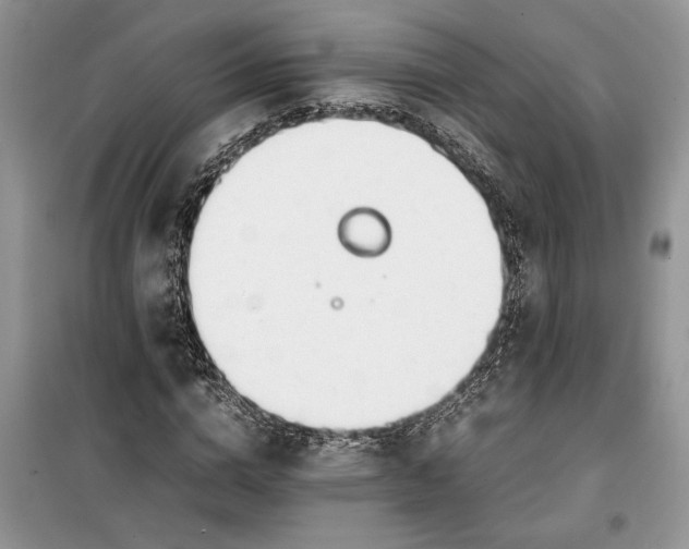 X0000099510824200805291147