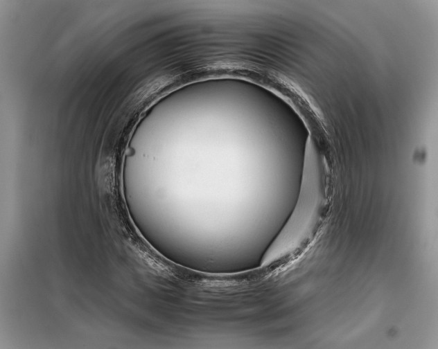 X0000099510825200805291147