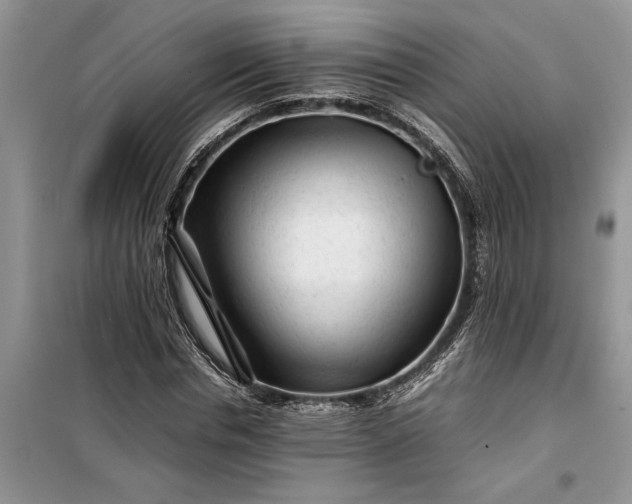 X0000099510826200805291147