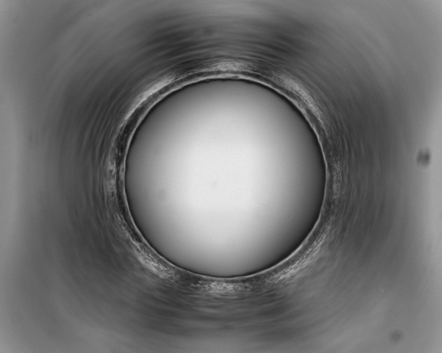 X0000099510827200805291147