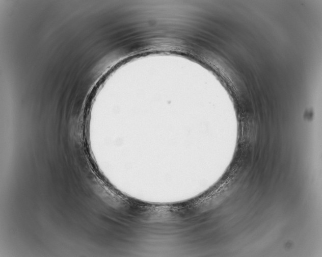 X0000099510828200805291147