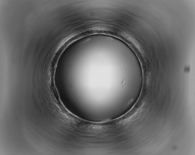 X0000099510829200805291147