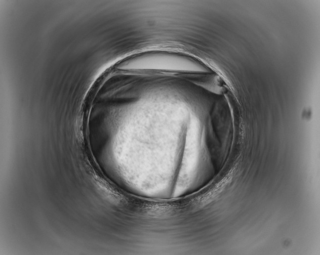 X0000099510830200805291147