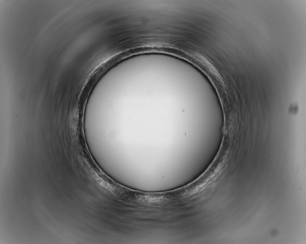 X0000099510831200805291147