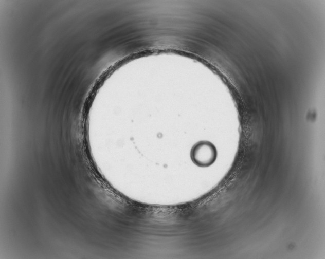 X0000099510832200805291147