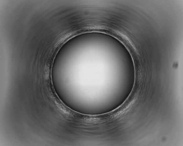 X0000099510833200805291147