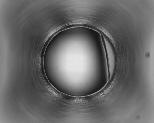 X0000099510834200805291147