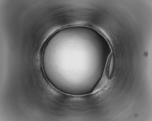 X0000099510835200805291147