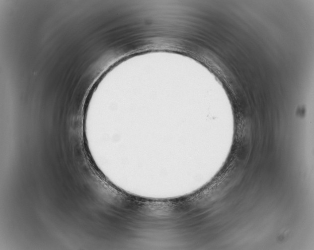 X0000099510836200805291147