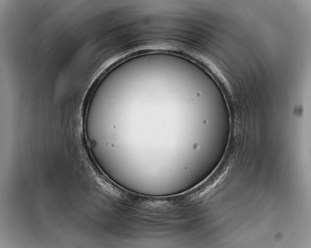 X0000099510837200805291147