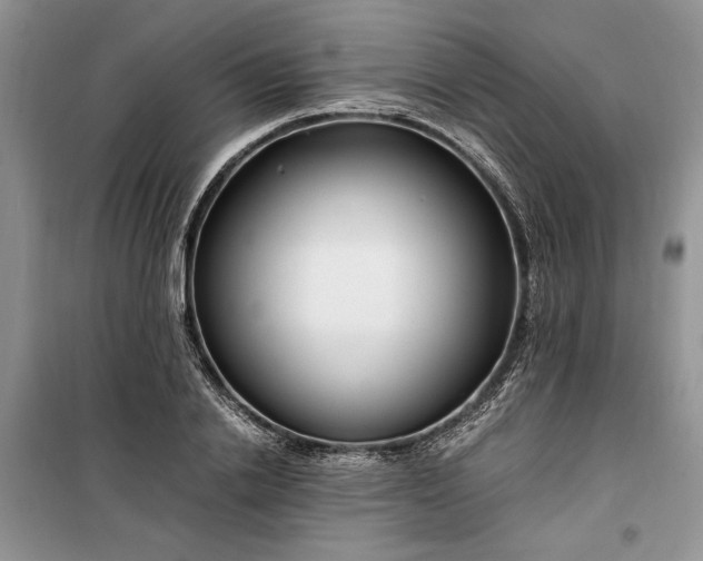 X0000099510838200805291147