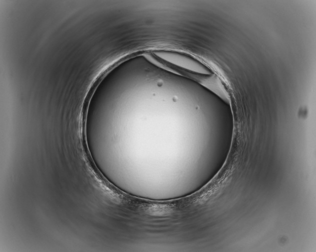 X0000099510839200805291147