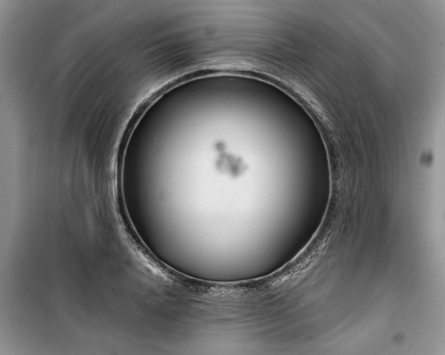 X0000099510840200805291147