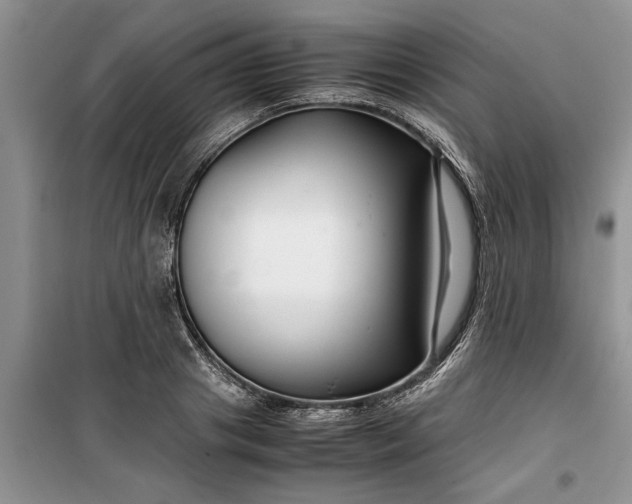 X0000099510841200805291147