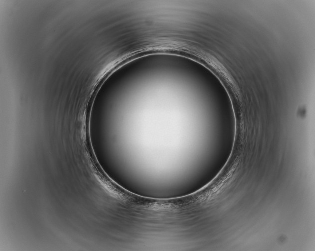 X0000099510842200805291147