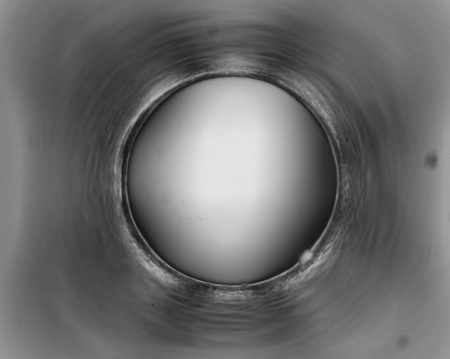 X0000099510843200805291147