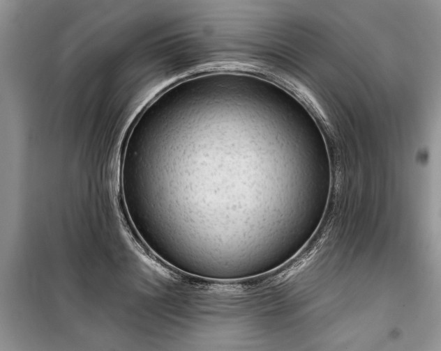 X0000099510844200805291147