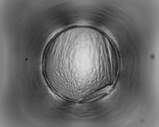 X0000099510845200805291147